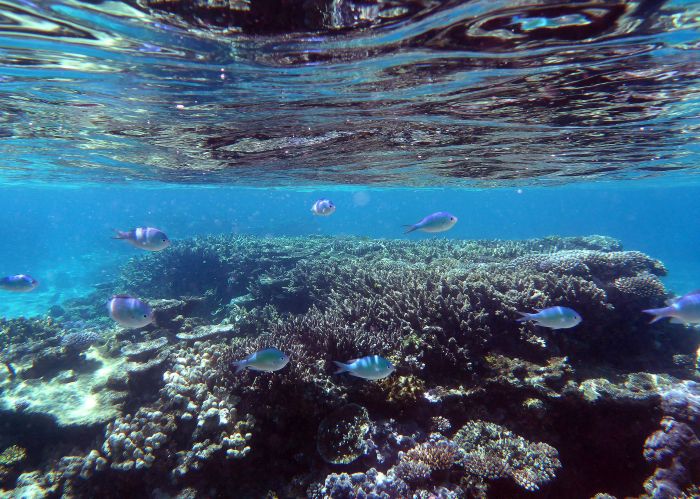 21938295366_7175c4f434_o-straight