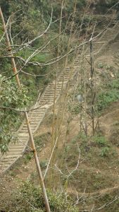 Sapa stairs