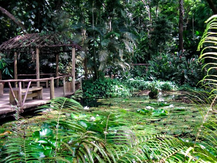 Fiji Garden of the Sleeping Giants