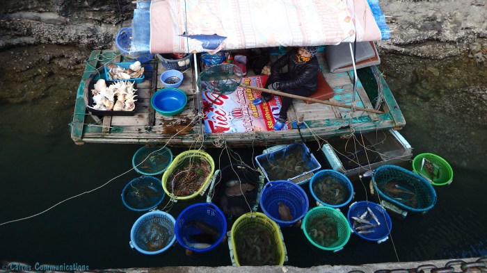 Fresh seafood off the boat