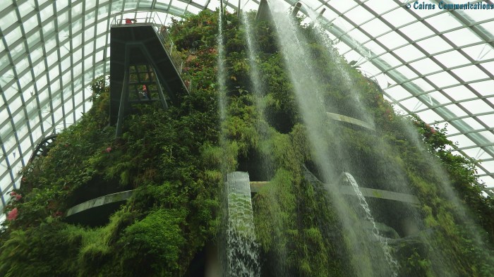 Singapore Cloud Forest