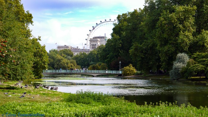 "I spy the London Eye..." - the view from St James park