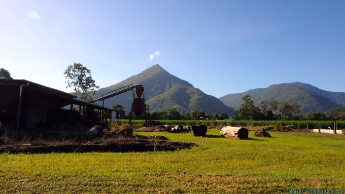 Walsh's Pyramid, Gordonvale