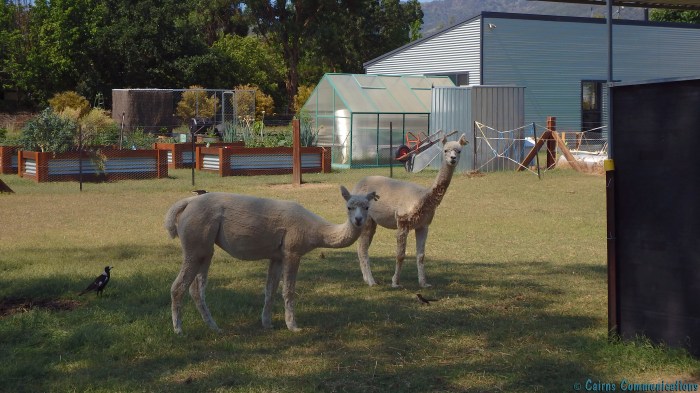 Are you llooking at me? 