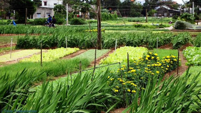 Hoi An Market Garden