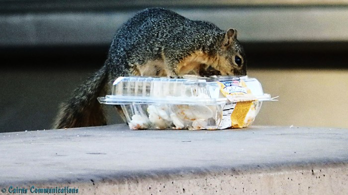 Everyone loves Candy Corn!